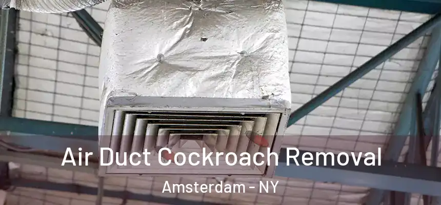 Air Duct Cockroach Removal Amsterdam - NY