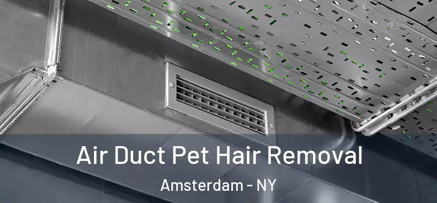 Air Duct Pet Hair Removal Amsterdam - NY