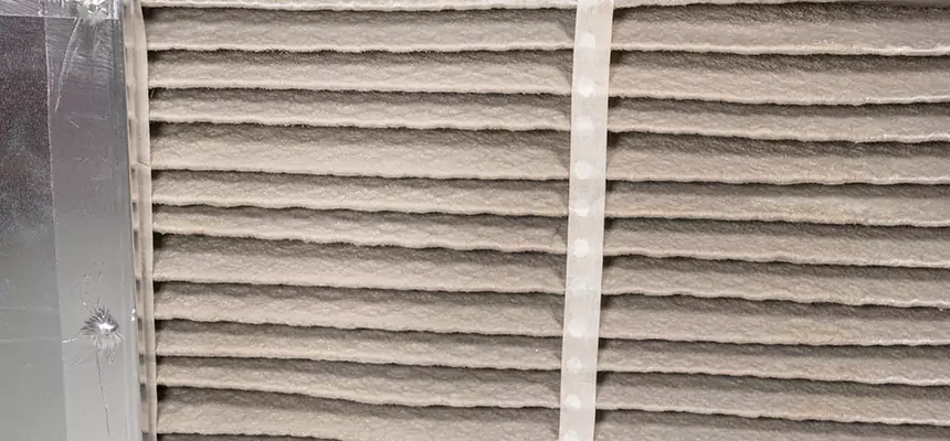 Mobile Car AC Filter Replacement in Amsterdam