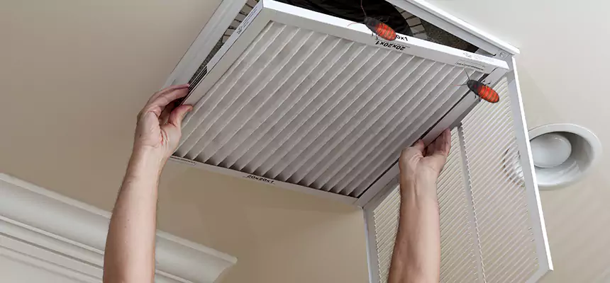 Our Insect Removal from Air Ducts Services in Amsterdam, NY