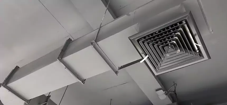 Our Pest Removal From Ducts Services in Amsterdam, NY