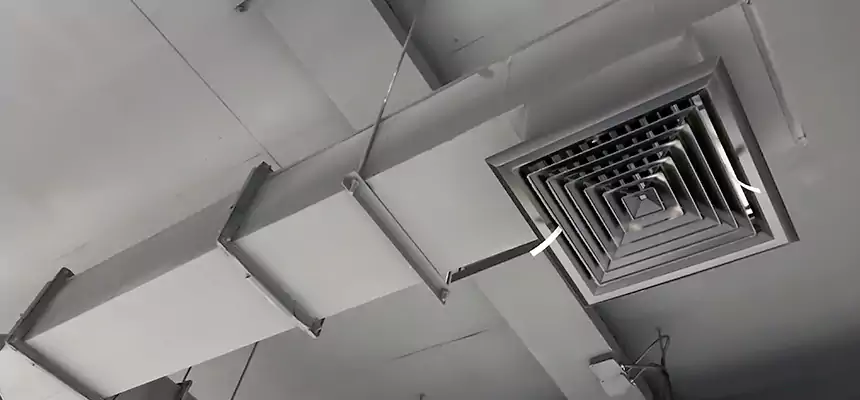 Our Rodent Droppings In Vents Services in Amsterdam, NY