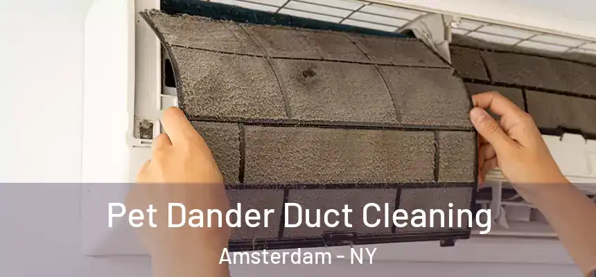 Pet Dander Duct Cleaning Amsterdam - NY