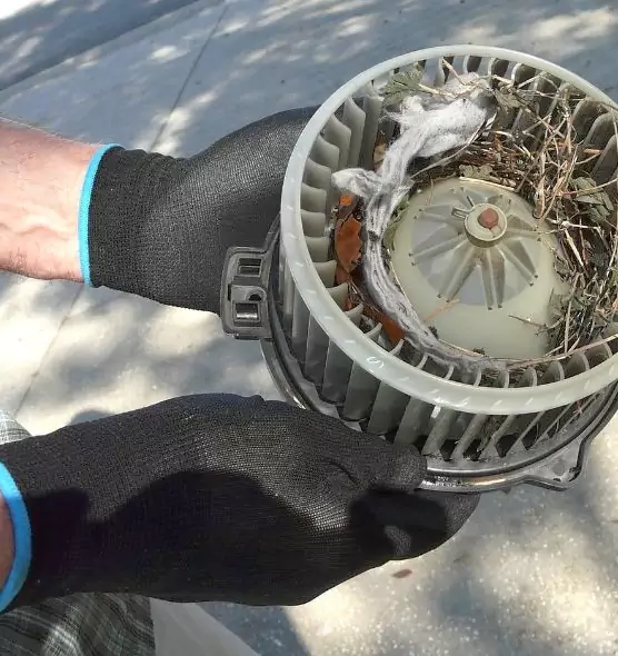 About Air Duct Mice Removal in Amsterdam, NY