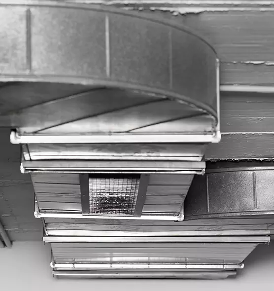 Professional Air Duct Pest Removal in Amsterdam, NY