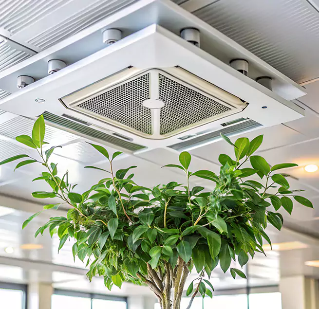 Why Homeowners & Businesses Trust Us in Amsterdam, NY?